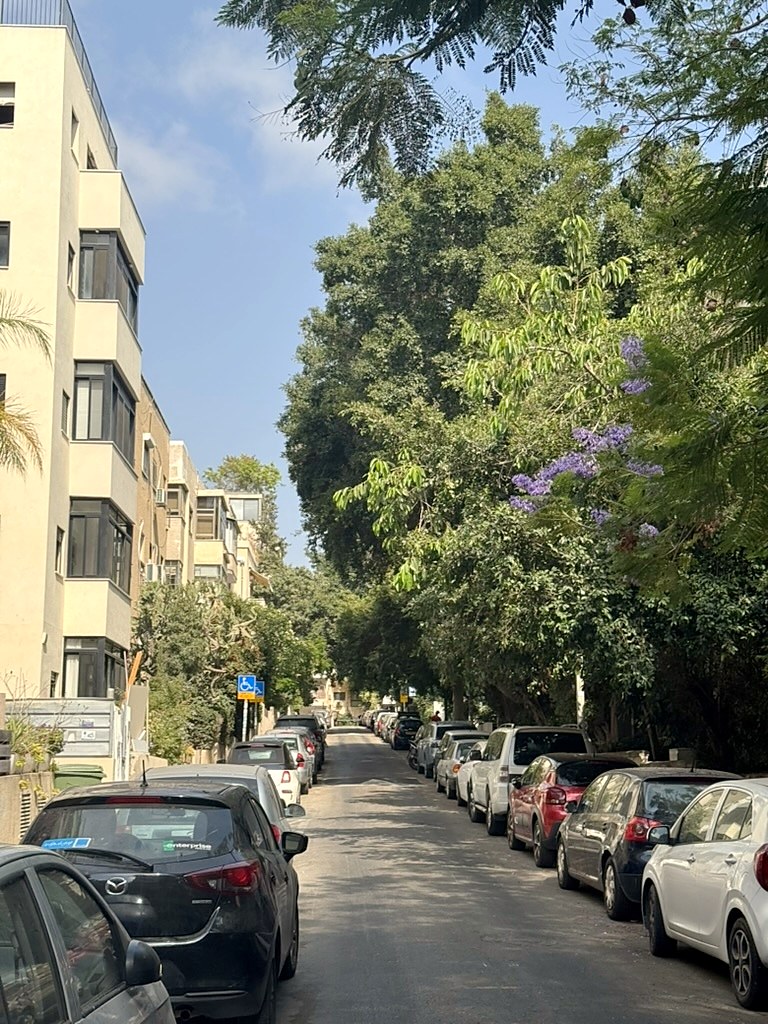 רחוב ג׳ורג׳ אליוט, שקט ומוצל.